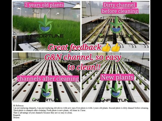 How to clean hydroponic NFT system? So easy!