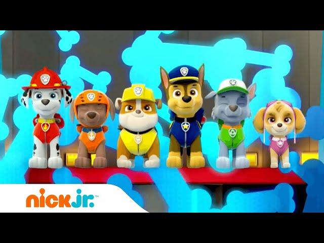 PAW Patrol Dutch | Official Theme Song (Music) | Nick Jr.