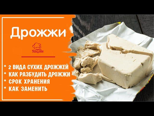 ДРОЖЖИ: хлебопекарные прессованные и сухие, как применять, как хранить, как работать с дрожжами