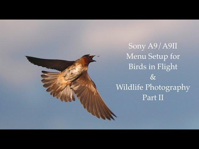 Sony A9/A9II Menu Setup for Birds in Flight & Wildlife Photography - Part 2 of 5