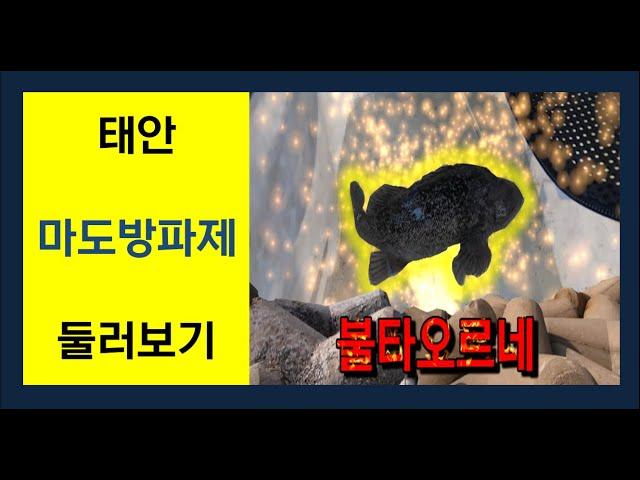 태안 마도방파제 꼼꼼하게 둘러보기(인간 내비게이션) 지금 시기에 무엇을 만날 수 있을까? fishing in Korea