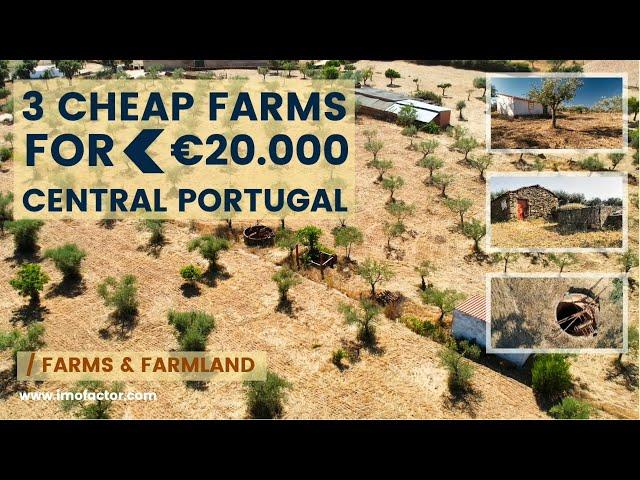  3 Cheap Farms for Sale Under 20000€ | Central Portugal