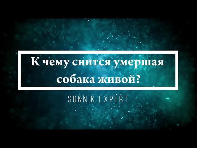 К чему снится умершая собака живой - Онлайн Сонник Эксперт