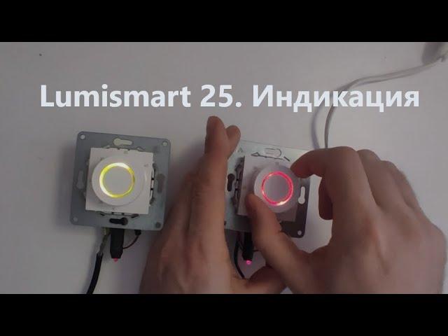 LumiSmart 25. Варианты индикации