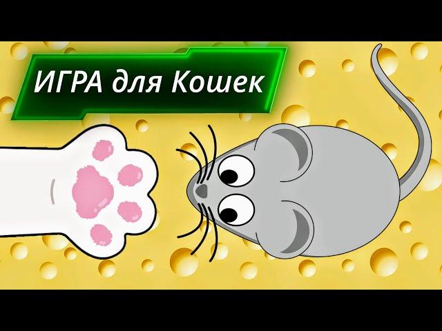 Осторожно!!! МЫШЬ!!! Игра для кошек! A game for cats!