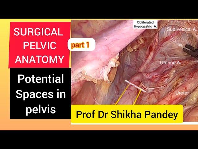 Surgical pelvic anatomy ,gynecology, Spaces in pelvis, Latzko's, Okabayashi@saisamarthgyneclasses