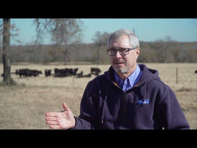 NCBA's Cattlemen to Cattlemen – June 29, 2021