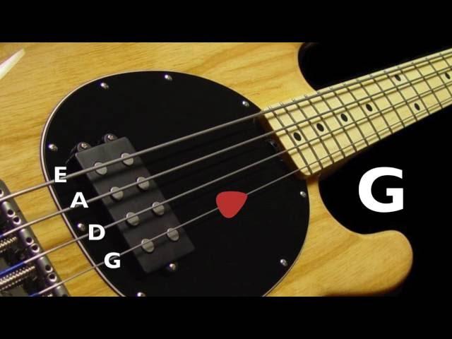 Bass Tuner - Standard Bass Tuning (E A D G) 4 Strings