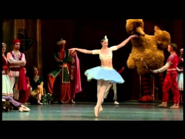 WUCF TV: Big Bird