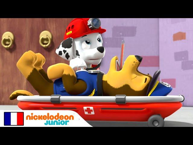 Paw Patrol : La Pat' Patrouille | Chase est malade ! | Nick Jr.