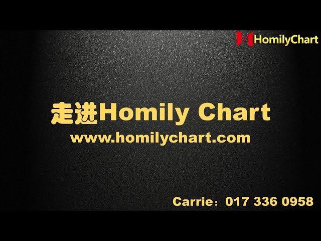 弘历软件（Homily Chart）详细介绍