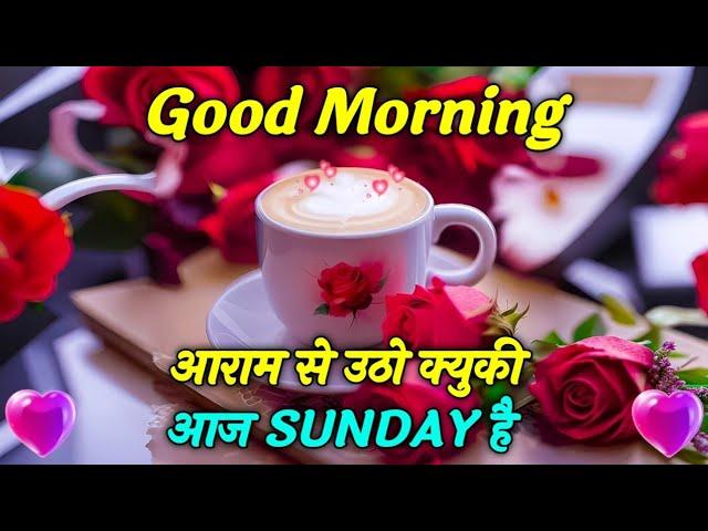 Good Morning Shayari Video | Shayari | Aaram Se Utho Kyuki Aaj Sunday hai