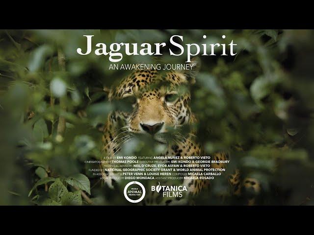 Jaguar Spirit, An Awakening Journey - Wildlife Documentary