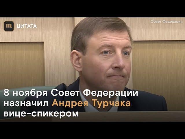 Андрей Турчак стал вице-спикером Совета Федерации