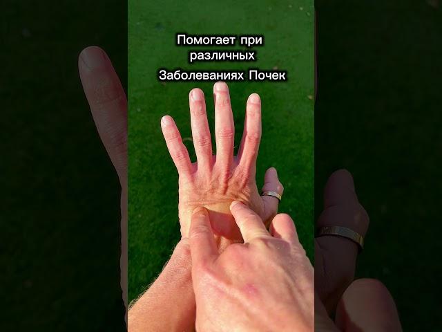 Эти 2 точки лечат почки