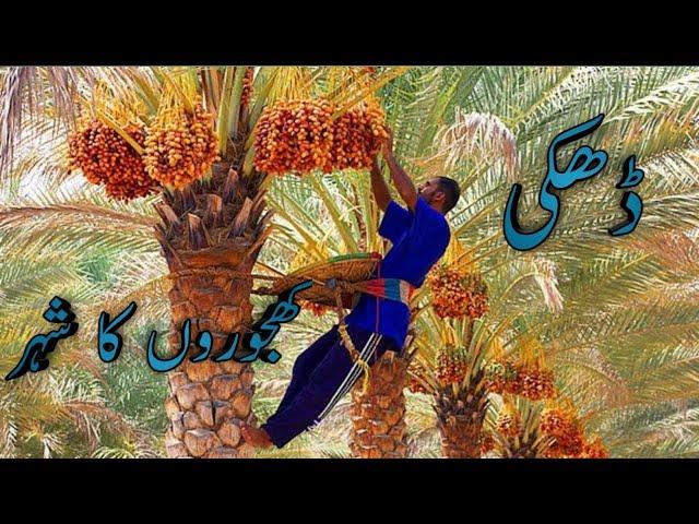 DHAKKI | World's Largest Date Fruit Exporting City | Dera Ismail Khan| VJ Safeer