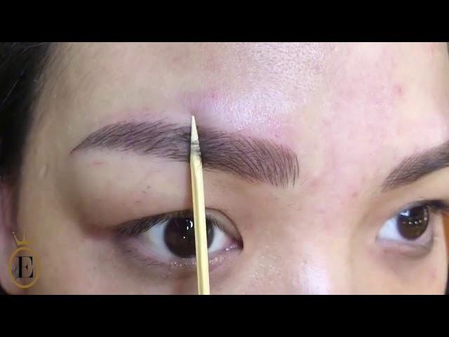 World's First 6D Eyebrow Embroidery by Eagle Beauty