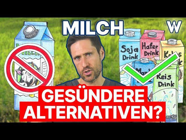 Sind Milchalternativen gesünder und umweltfreundlicher als Kuhmilch? Hafer, Soja, Reis & Co geprüft