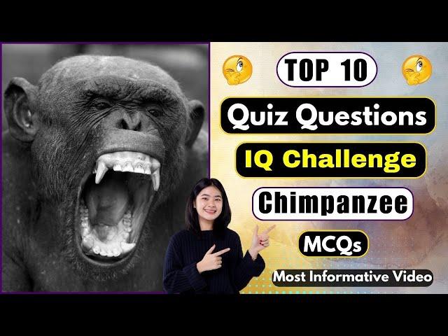 Chimpanzee Quiz Challenge | 10 Mind Blowing General Knowledge Questions | Helian GK Quiz