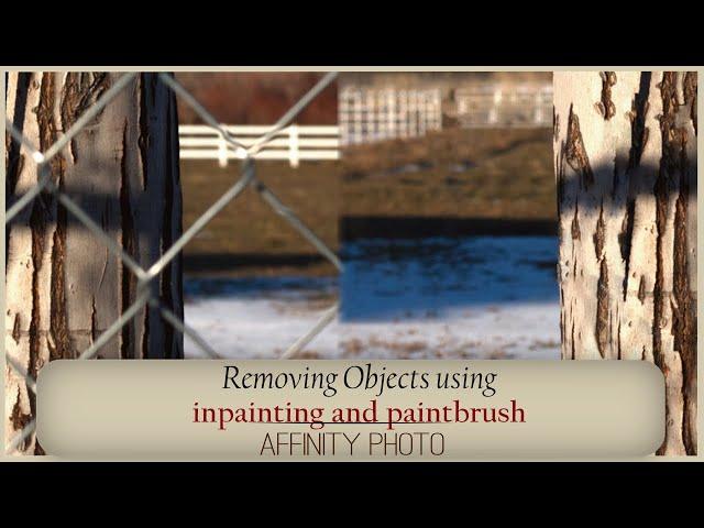 Inpainting and paint brush tool to remove a fence in affinity photo