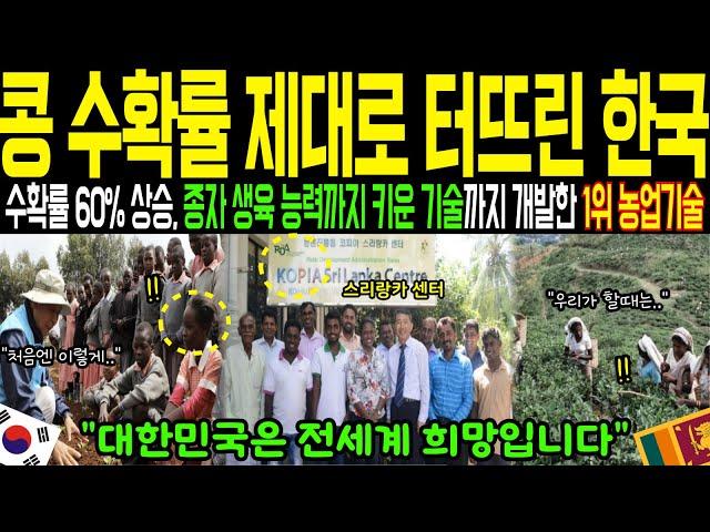 [해외감동사연] ”스리랑카 콩 수확률 제대로 60% 상승시킨 1위 한국농업기술” 종자 생육 능력까지 키운 기술까지 개발한 전 세계 1위 농업기술의 힘!
