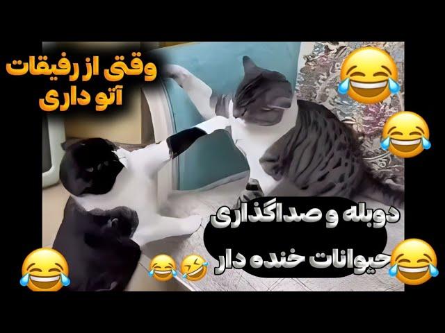 وقتی زن عصبی میشه دوبله و صداگذاری حیوانات خنده دار و طنز 