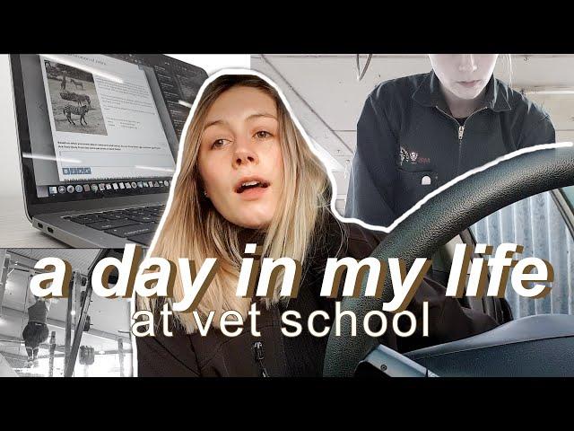 A Day In My Life at Vet School | Vet School Vlog