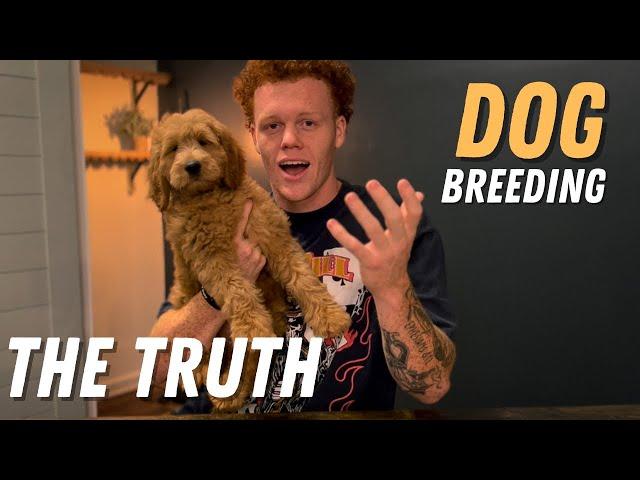 THE TRUTH About Dog Breeding