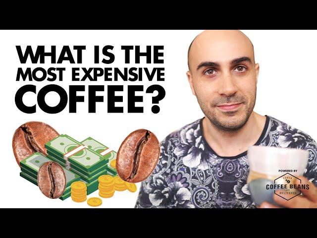 What is the most expensive coffee? How Panama Geisha coffee became the King of coffee!