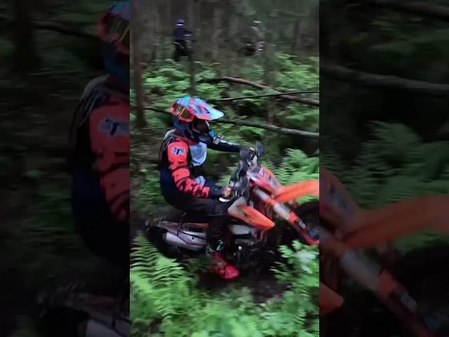 Эндурим овраги через лес #regulmoto #эндуро #kayo #enduro