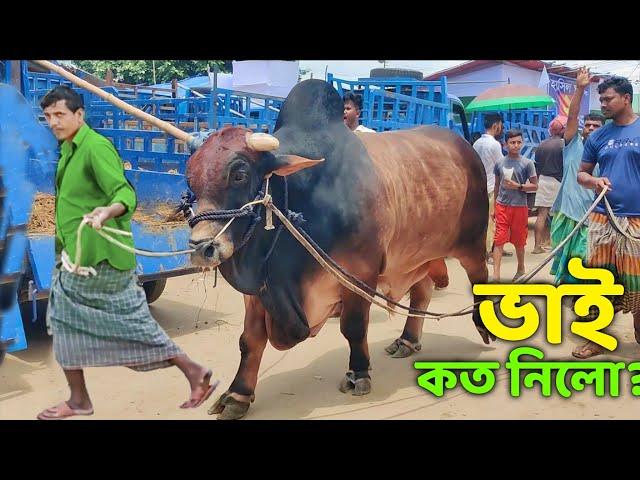 Bhai Koto Nilo? Gabtoli Gorur Haat 2023-Part 43 |Qurbani Cow Price in Bangladesh |Gabtoli Cow Market