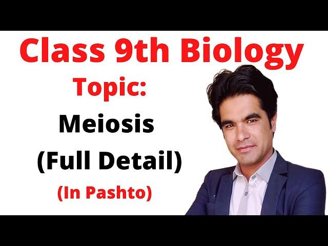 Meiosis | Meiosis full lecture in pashto | Home of biology