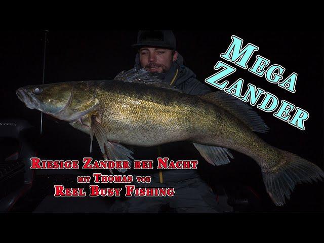 Riesige Zander bei Nacht - Reel Busy Fishing TV