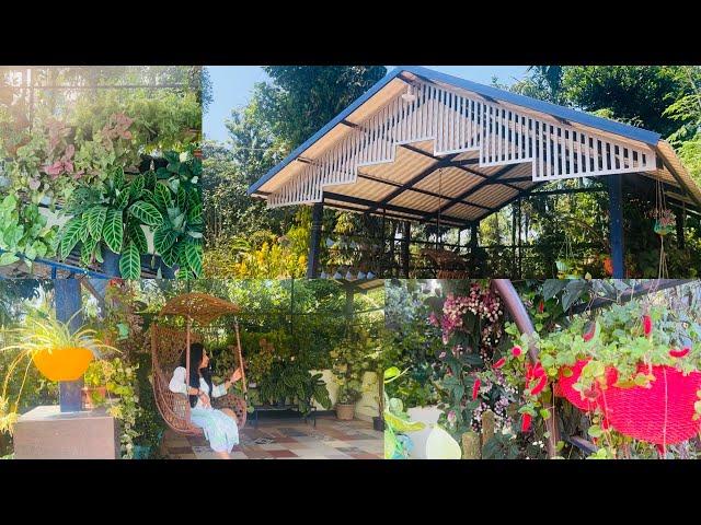 My Pergola Tour  / pergolas were designed to add shade to your garden/ House plants