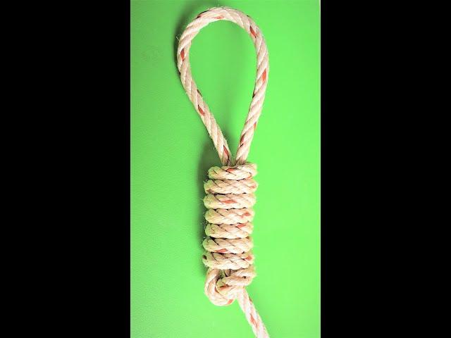 Knots Rope Trick DIY at Home, #knotrope #shoelace #shorts #viral #diy #satisfying #craftsdiy