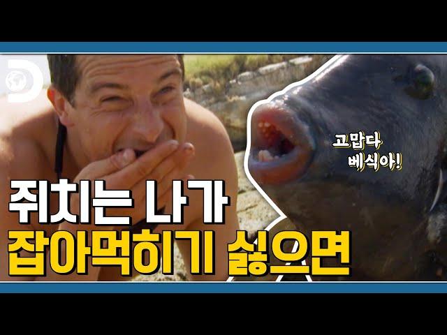 쥐치고 힘들 때~ 내게 기대~ (위로 잘 구워지는 쥐치) [Man Vs Wild]