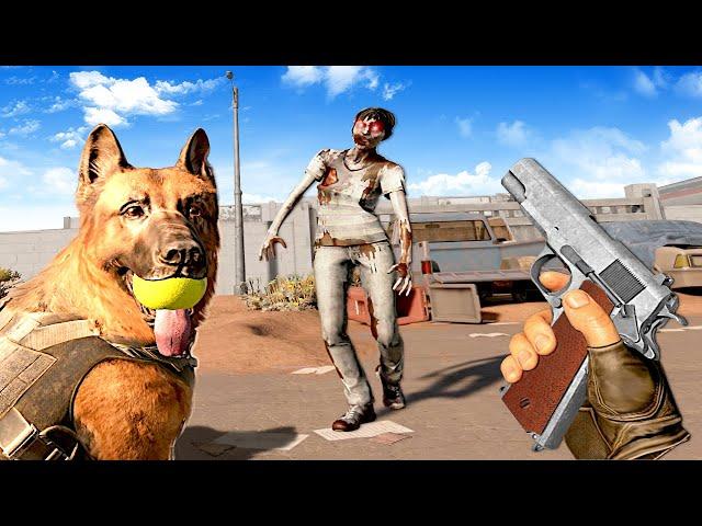 I Found a DOG in a ZOMBIE APOCALYPSE! (Arizona Sunshine 2)