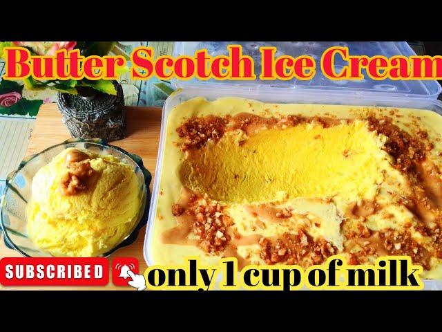 Homemade Butter Scotch Ice Cream/How to Make Butterscotch Ice Cream?