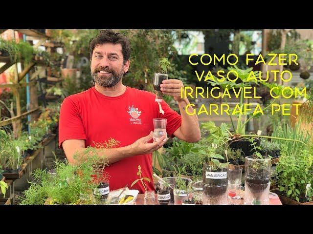 Como Fazer Vaso Auto Irrigável Com Garrafa PET