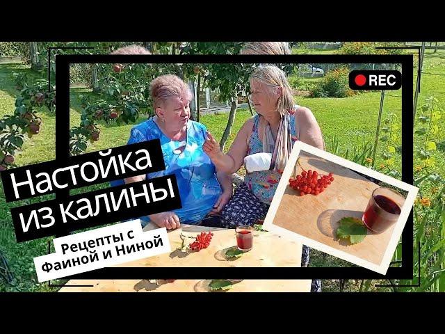 Домашняя калиновая настойка на водке с медом - Как сделать лечебную настойку из калины - рецепт