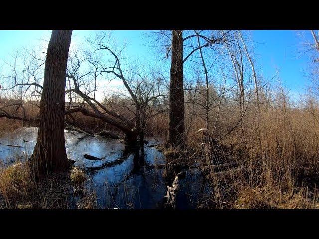 ⁴ᴷ⁶⁰ Walking NYC (Narrated) : Willow Lake at Flushing Meadows-Corona Park