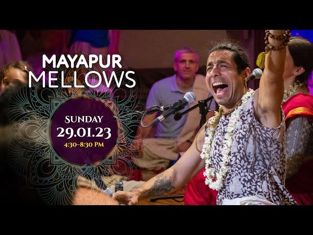 Visvambhar Sheth – Mayapur Mellows – 29th January 2023