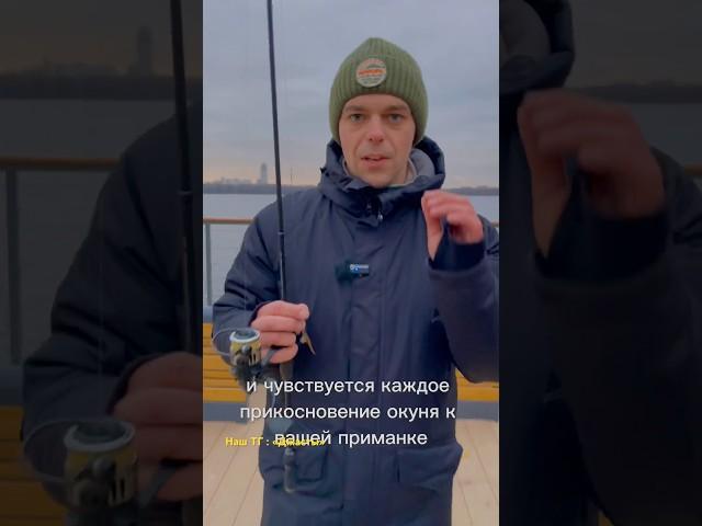 Выбираем спиннинг для форели/окуня! Лучшие критерии для новичков #спиннинг #рыбалка #окунь #форель