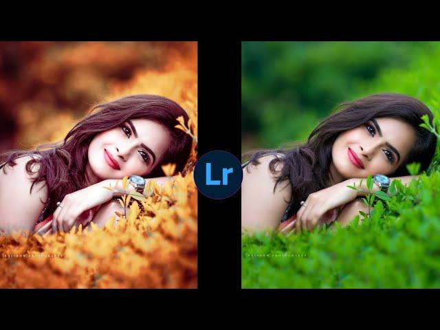 Lightroom oring tone photo editing //Lightroom soft photo editing //preset download free //