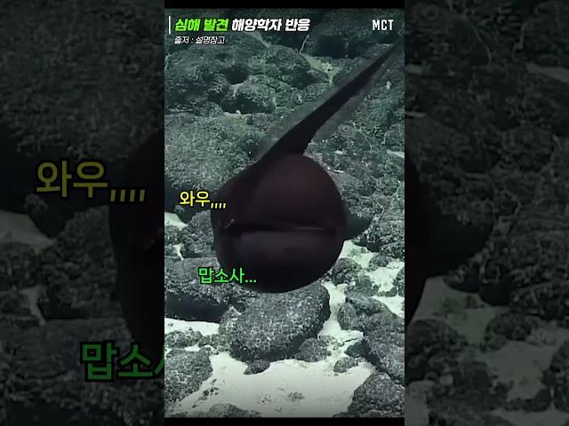 심해어 발견한 해양학자들의 반응이 모두 녹음되었다