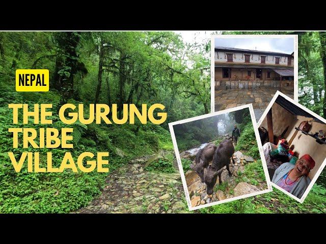 !!!Gurung village!!! The Nepalese tribe you haven't heard of