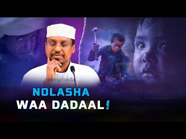 Nolasha Waa Dadaal | Muxaadaro Qiimo badan | Sheekh Mustafe | @eegmada