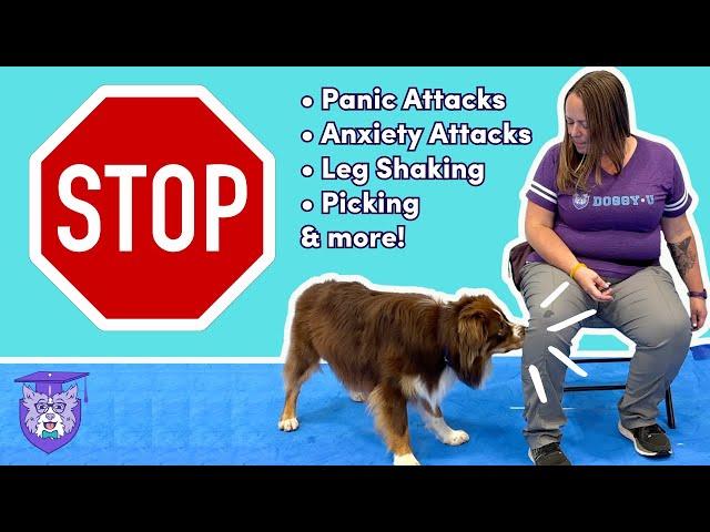 Psychiatric Service Dog Training: Behavior Interruptions & Alerts (panic, anxiety, picking etc.)