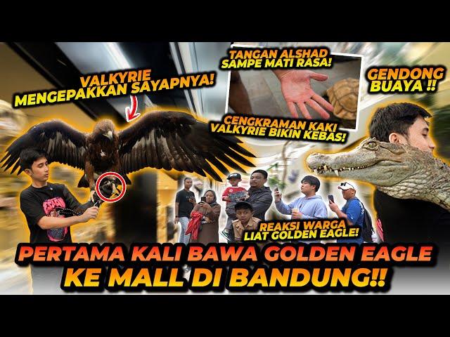 BRING THE GIANT GOLDEN EAGLE TO THE MALL IN BANDUNG! EVERYONE STEP AWAY?!