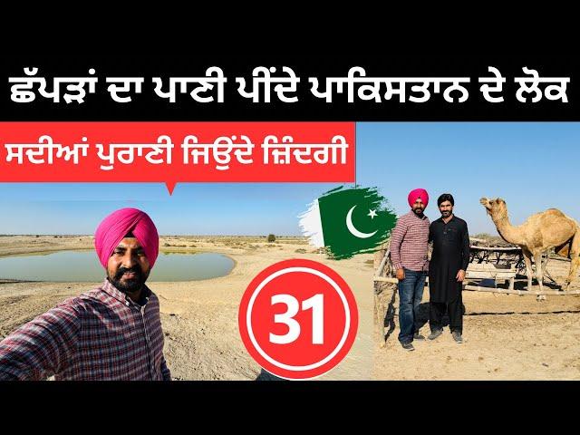 ਛੱਪੜਾਂ ਦਾ ਪਾਣੀ ਪੀਂਦੇ ਹਨ ਇਹ ਲੋਕ Cholistan Desert Pakistan | Punjabi Travel Couple | Ripan Khushi